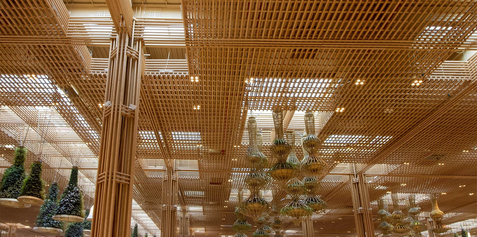 微信图片_20250626134308